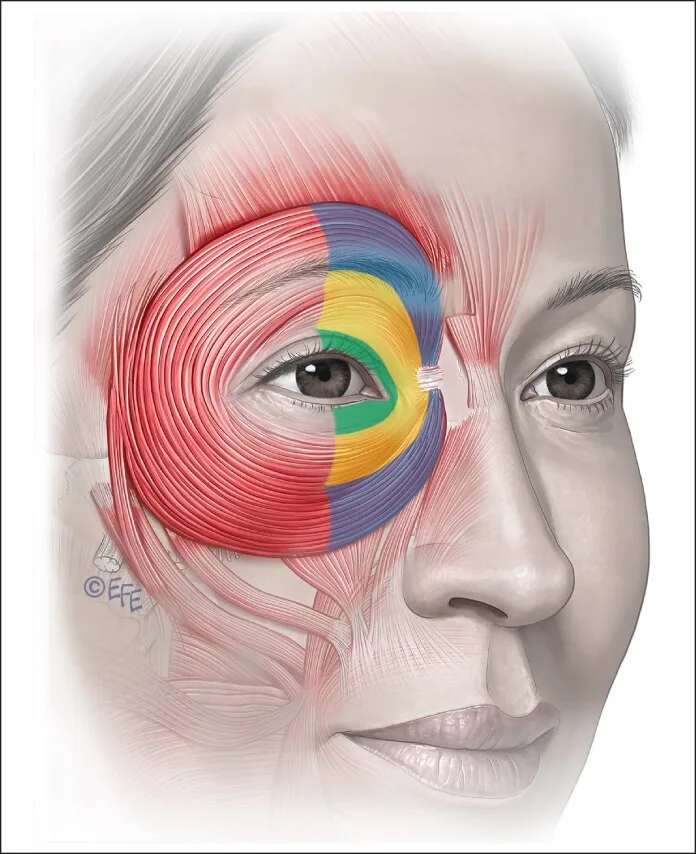 Orbicular do olho — porções orbital, pré-septal e pré-tarsal — Dr. Thiago Perfeito