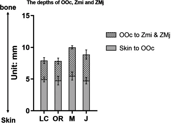 Gráfico de profundidade do orbicular do olho e distância até os zigomáticos medidas por ultrassom — Dr. Thiago Perfeito