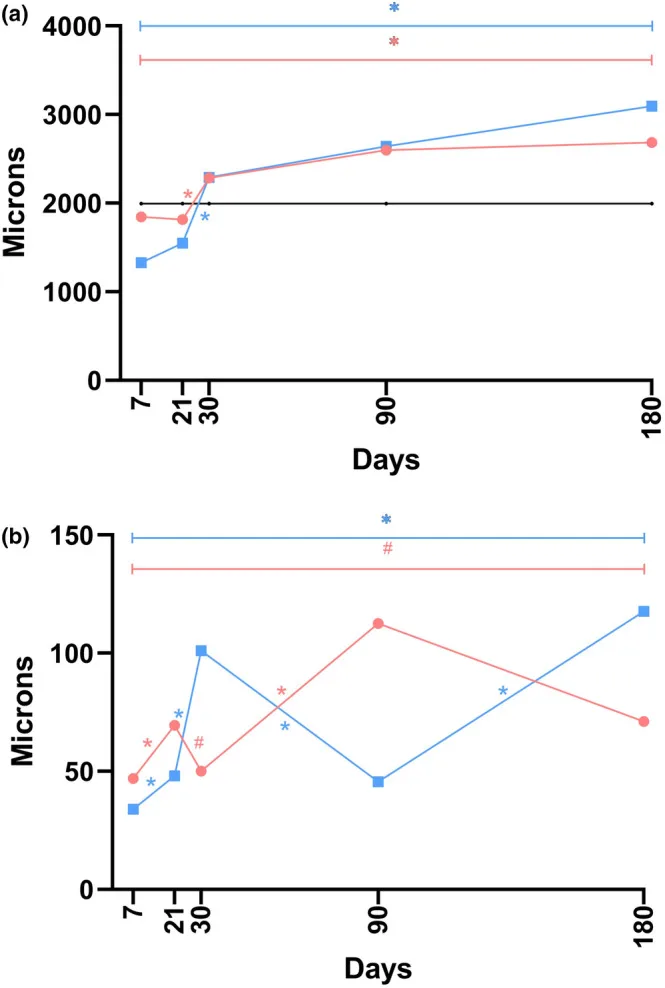 Gráficos de espessura da derme e da bainha fibrosa ao longo de 180 dias após fios de P(LA/CL) — Dr. Thiago Perfeito