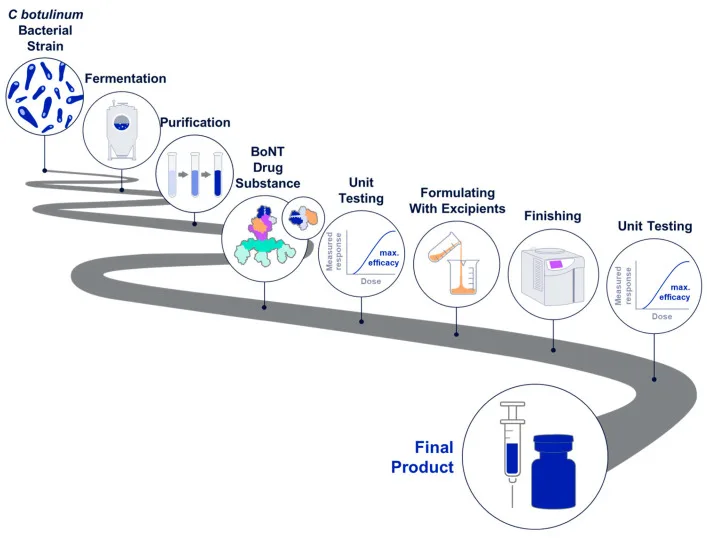 Esquema das etapas de fabricação da toxina botulínica, da cepa bacteriana ao frasco final — Dr. Thiago Perfeito