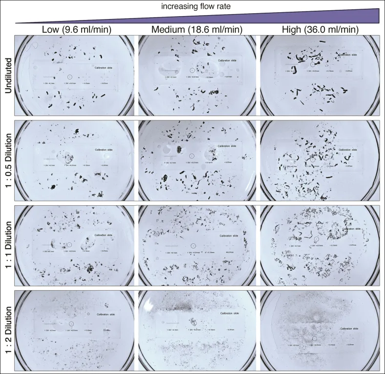 Fragmentos embólicos do Radiesse puro e diluído a 1:0,5, 1:1 e 1:2 em três fluxos — Dr. Thiago Perfeito
