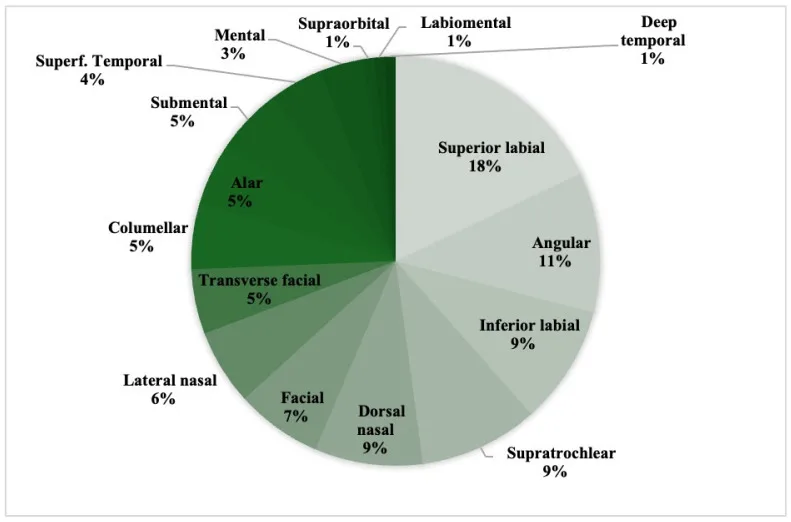 Gráfico de setores com a distribuição das artérias acometidas em eventos vasculares por preenchedor — Dr. Thiago Perfeito